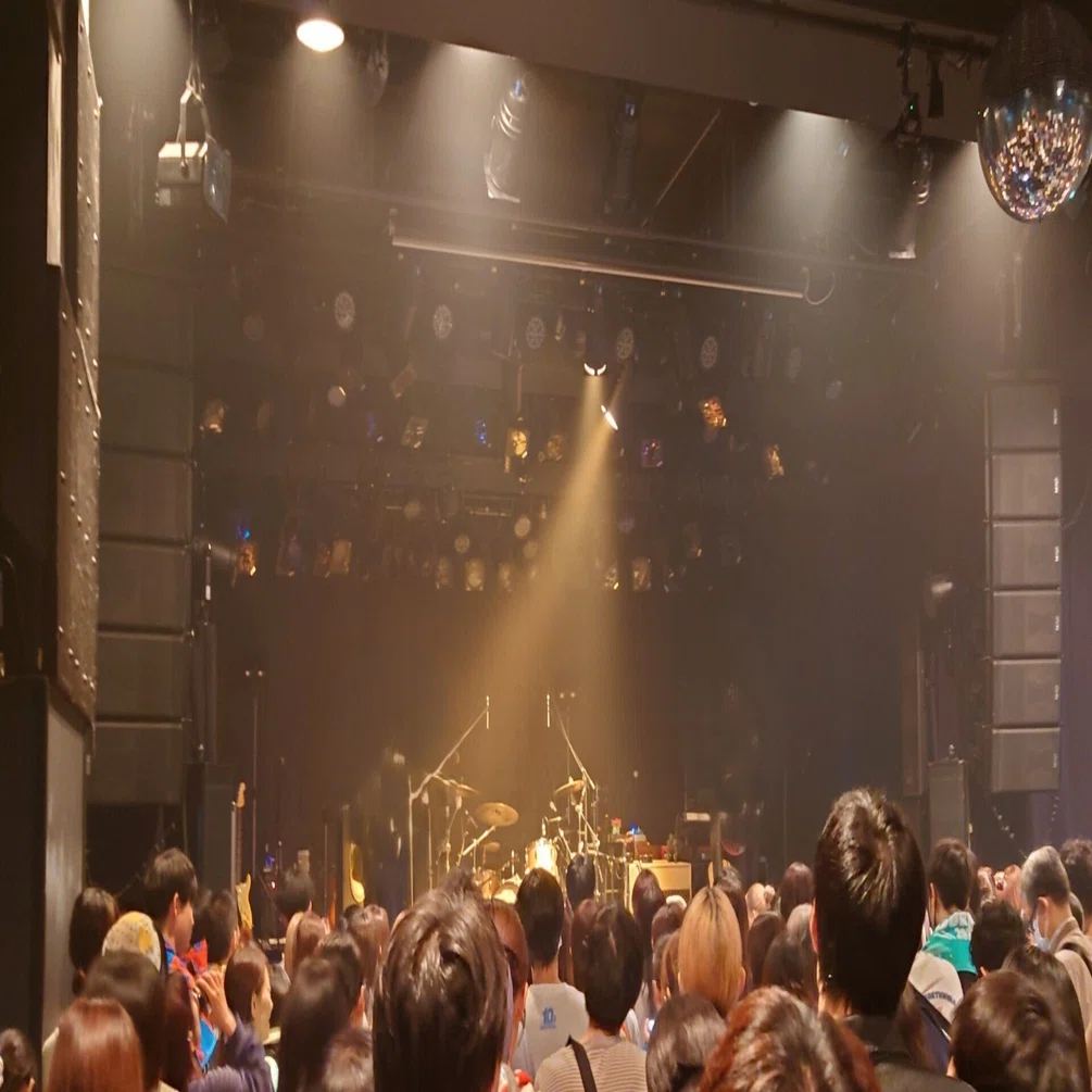 今年もズーカラデルのライブに行ってきました！｜Y Ta