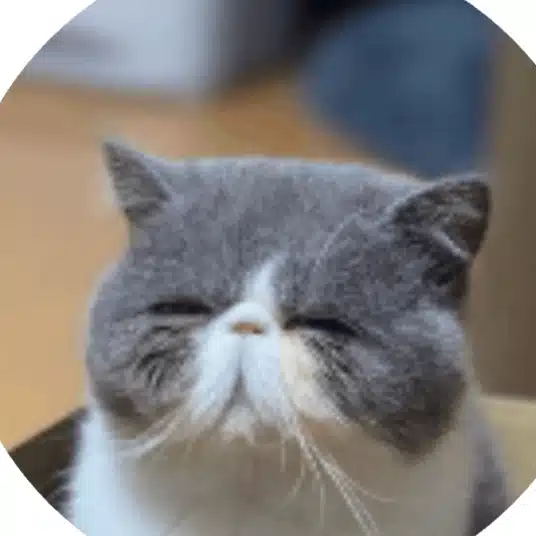 こまささん