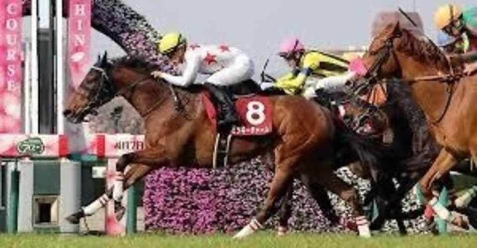競馬理論を使った阪神牝馬ステークス予想 相馬眼 Note