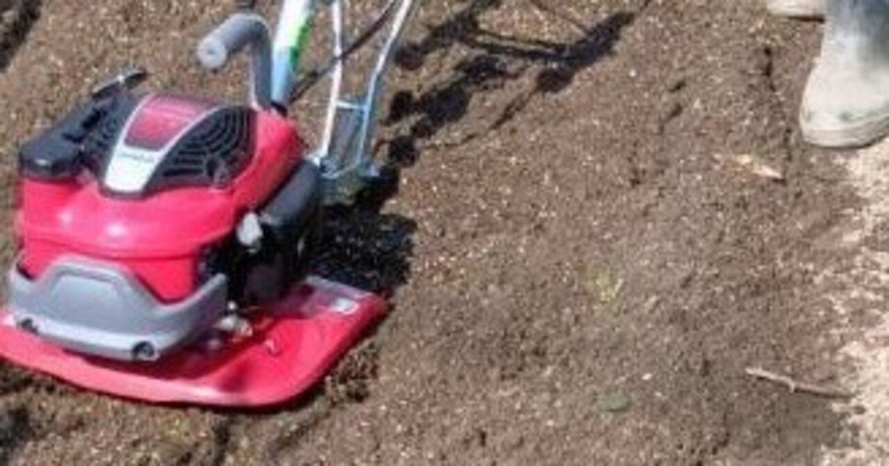 こまめ」vs「プチな」：同じ畑で両方使った感想｜家庭菜園の魔法使い