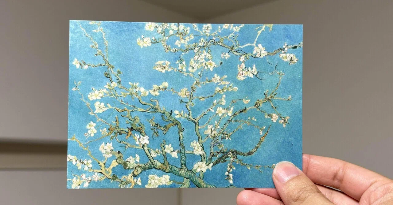 花咲くアーモンドの木の枝｜あさかわ