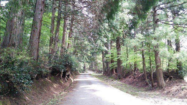 ご希望額まで値下げしますよ～@臨済宗 東福寺派管長 福島慶道(更幽軒)の肉筆掛軸 ご希望額まで値下げしますよ～@臨済宗 東福寺派管長 福島慶道(更