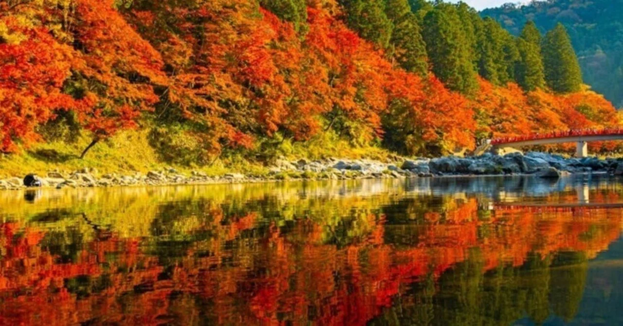 I want to go leaf peeping｜Ayane𓂅オンライントレーナー