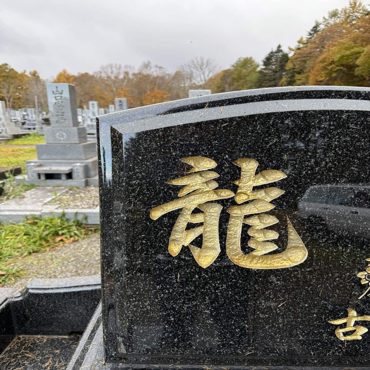 極楽鳥花｜thetattooact, image size:1280x1707