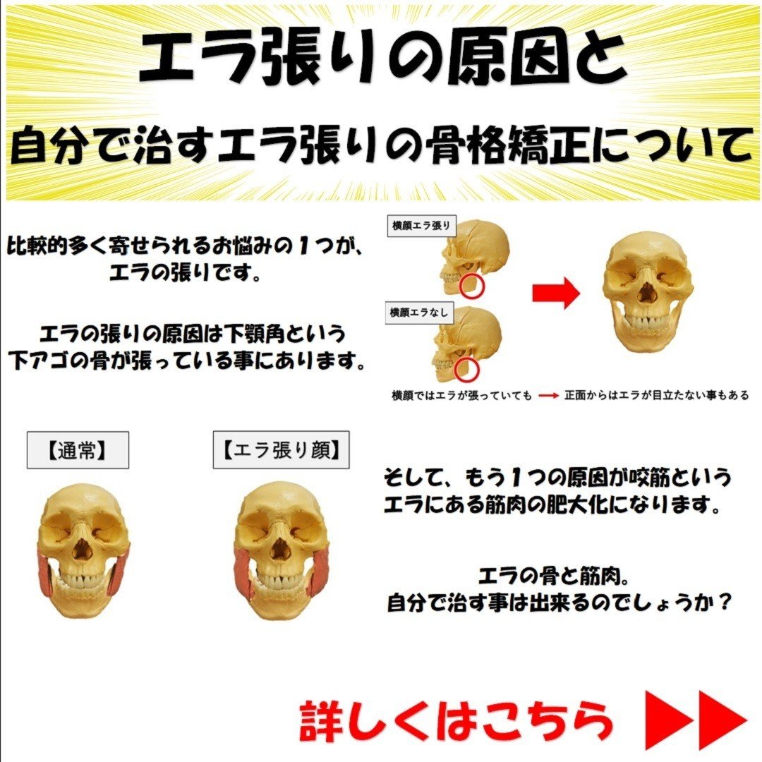 エラ張りの原因と自分で治すエラ張りの骨格矯正について Revisionginza Note
