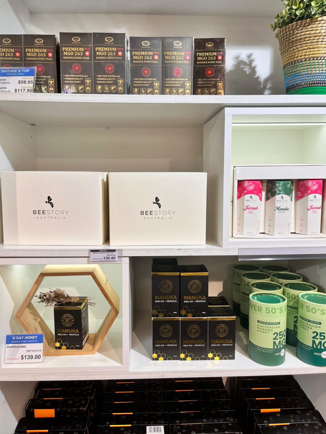 はちみつ🇦🇺シドニー編｜広報の助っ人 平義彦