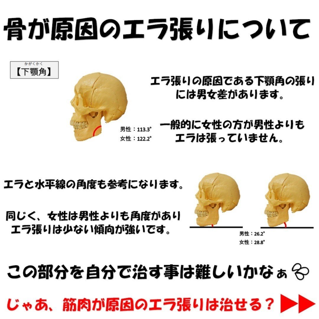 エラ張りの原因と自分で治すエラ張りの骨格矯正について Revisionginza Note