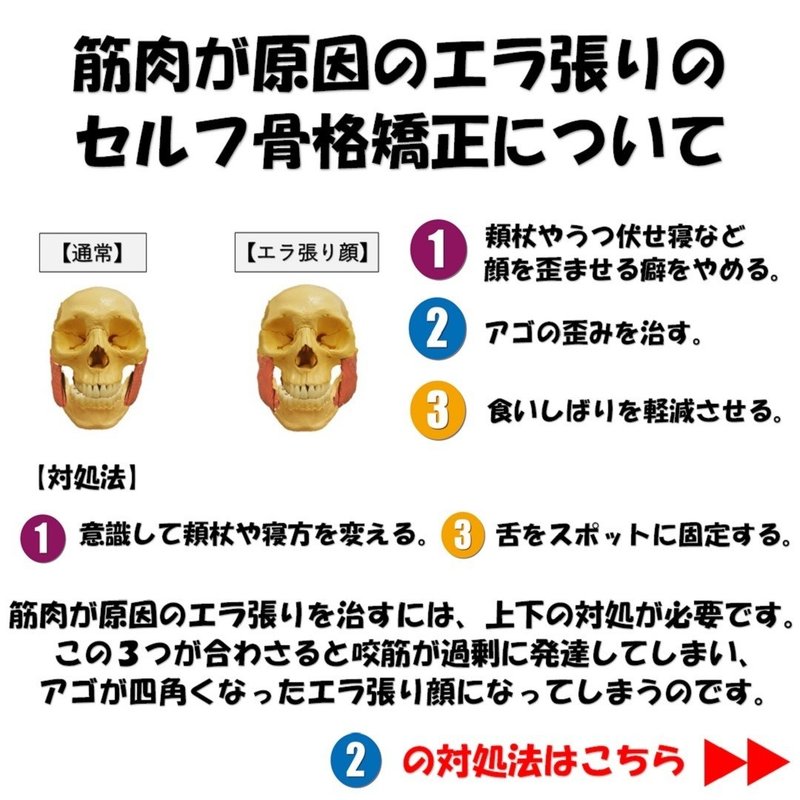 エラ張りの原因と自分で治すエラ張りの骨格矯正について