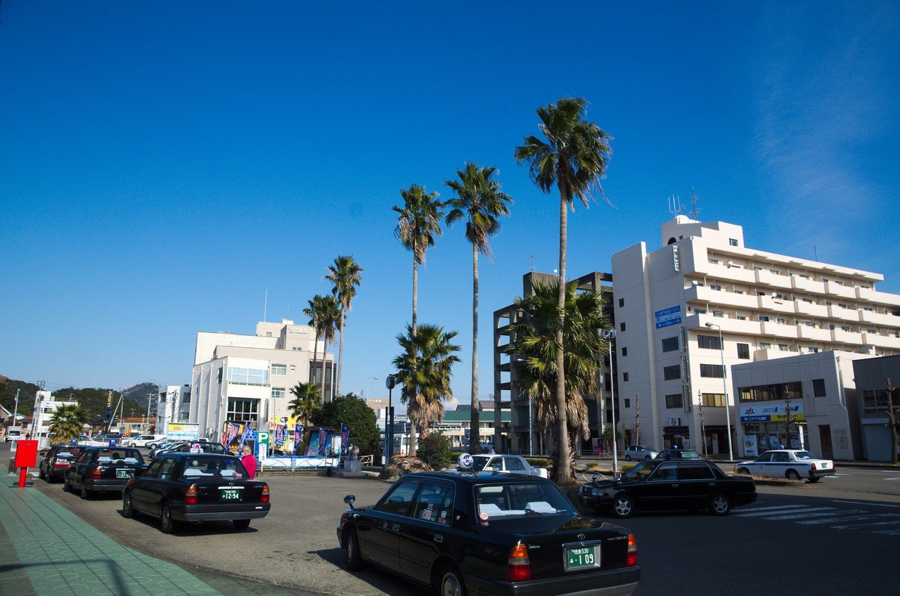 日本のヤシの木  ヤシの木の本」を作る｜シライタイガ