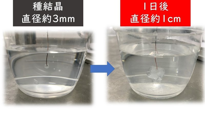 きれいに育てよう ミョウバンの結晶 Mm Teacher Note きれいに育てよう ミョウバンの結晶 Mm Teacher Note
