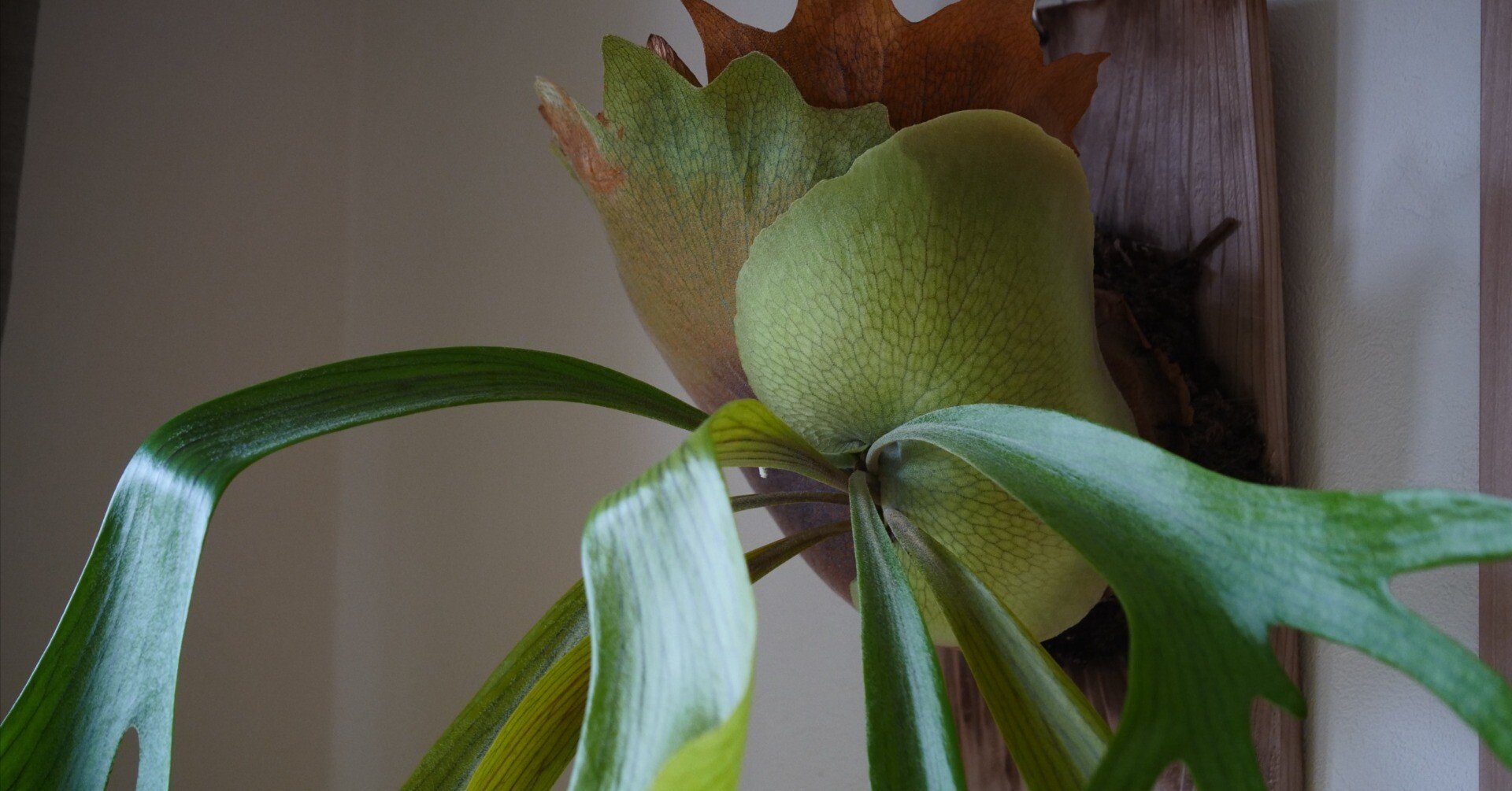 91bf9477e93cd208cd74805d57db7b