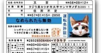 e99acfdbdaa2048c07f4f84900618e