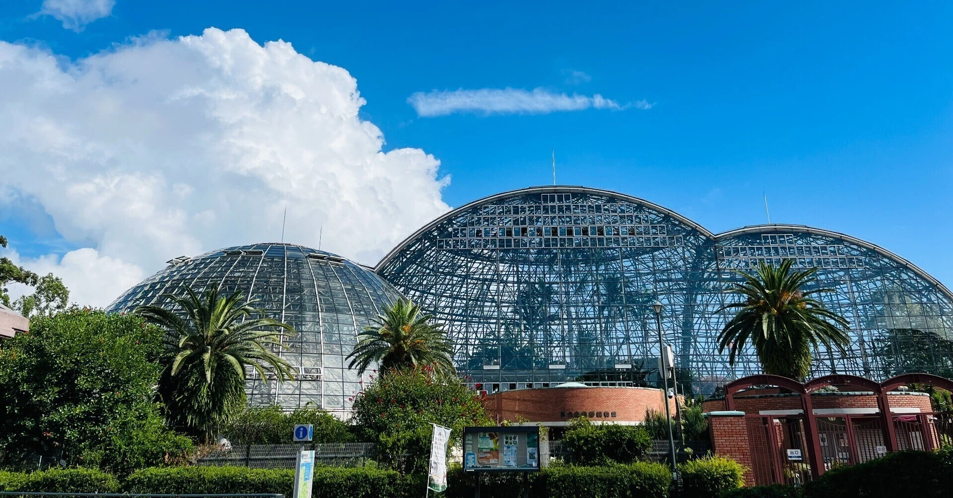夢の島 熱帯 植物 館