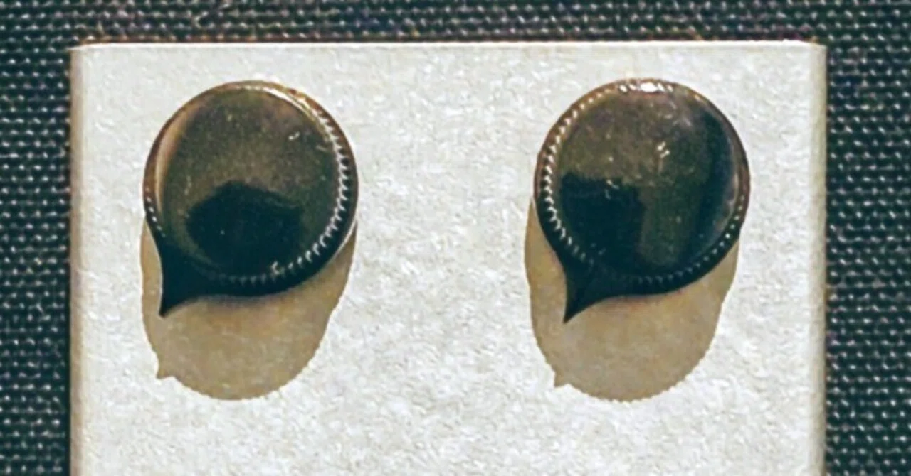 実用FUZZ入門｜ヤナセタカシ