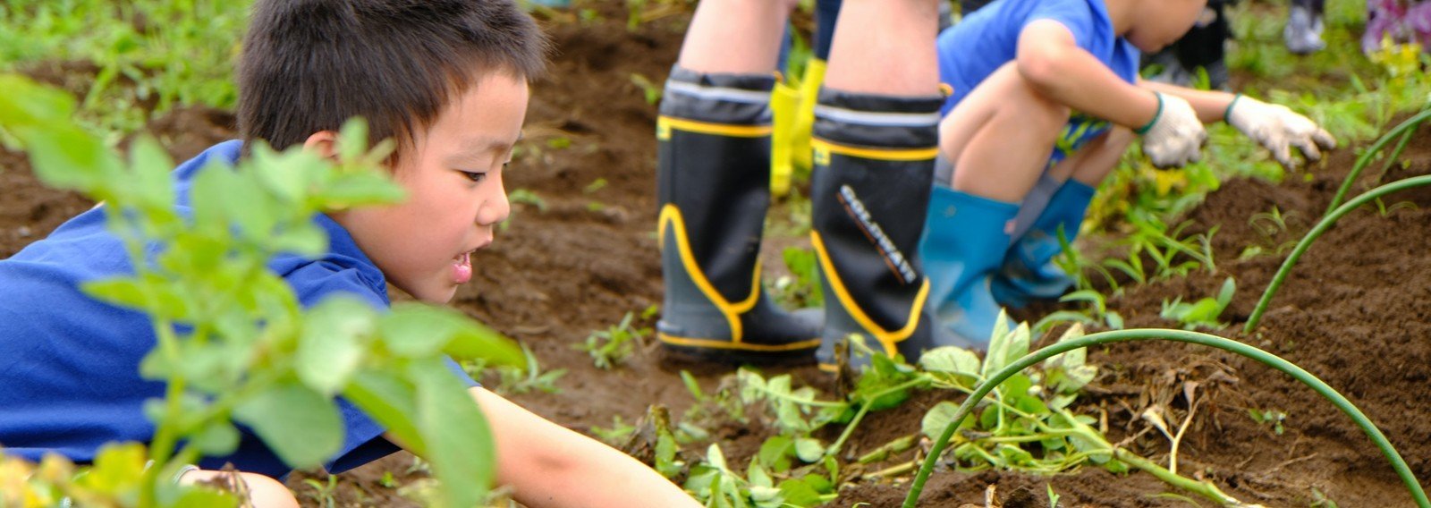 子どもと楽しむプランター家庭菜園