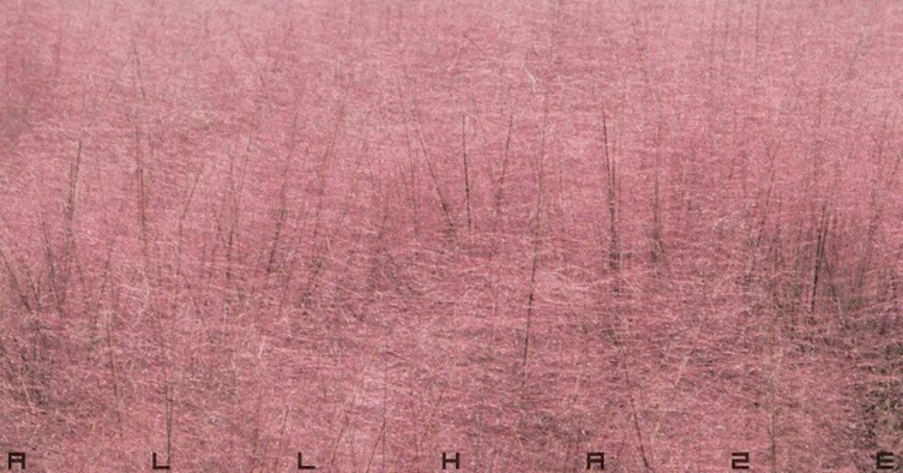 キッチン家電 ☆ジモティ割あり☆ SHARP 冷蔵庫 179L 23年製 動作確認 