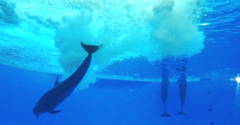 振り返り 5 自分の心に潜る 上野 雄史 Note