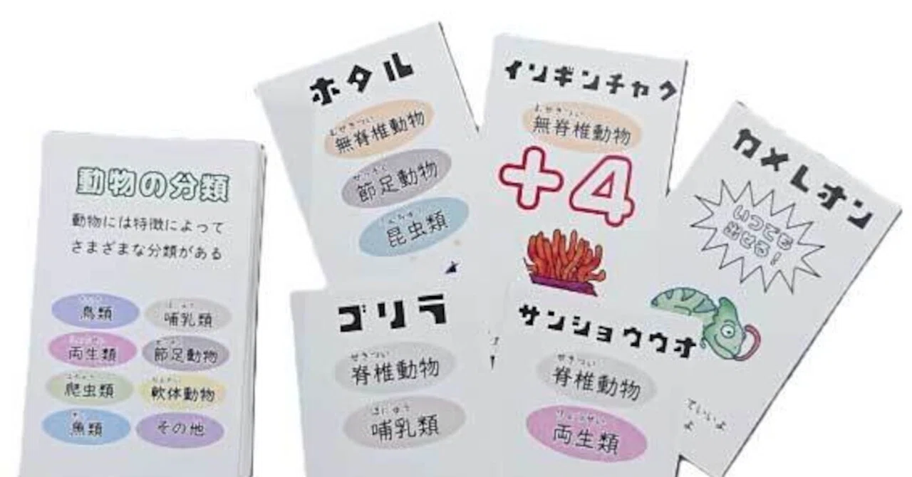 動物の分類カードゲーム｜ブリッジぷりんと