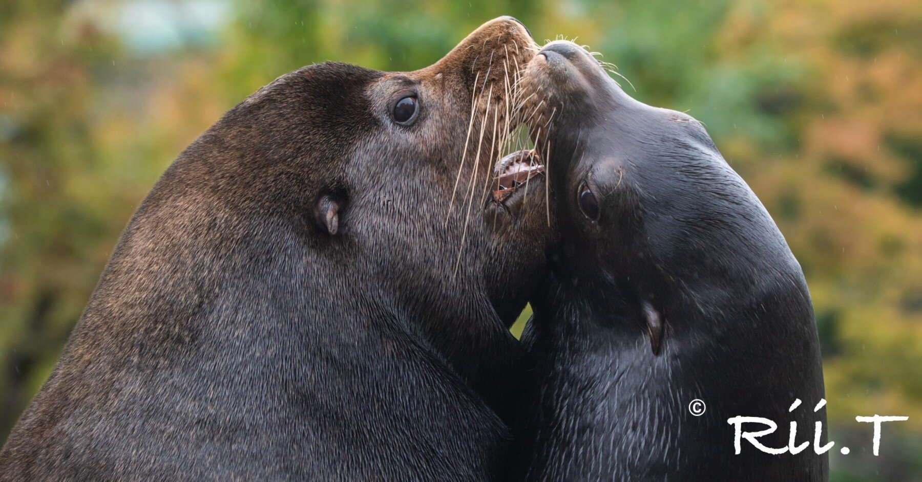 5385042c79a677c7c35ed42f5b9a7c