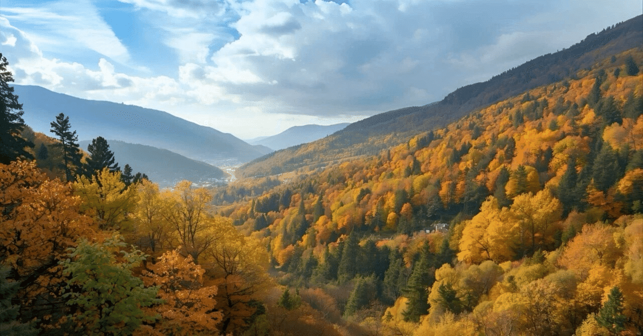 11月４日２０時、メディシノバはずっと長く、たぶん、｜kuronekomarimo