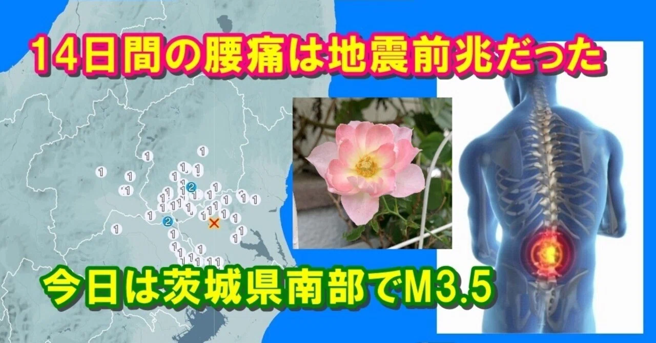 【探求三昧ブログ】2025/11/04(1)【地震前兆】腰痛が14日間も続くのは複数の地震前兆だった～茨城県南部でM3.5＋ミニバラ開花なども ...