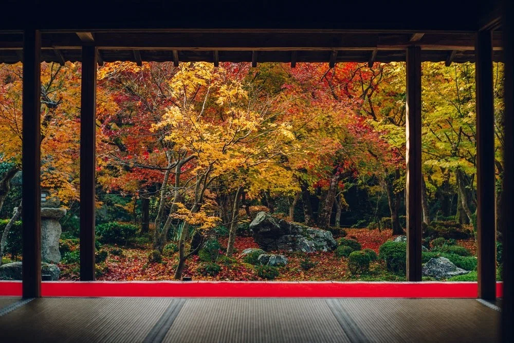 日本庭園の魅力を掘り下げてみる。｜長澤翼(Tsubasa Nagasawa)