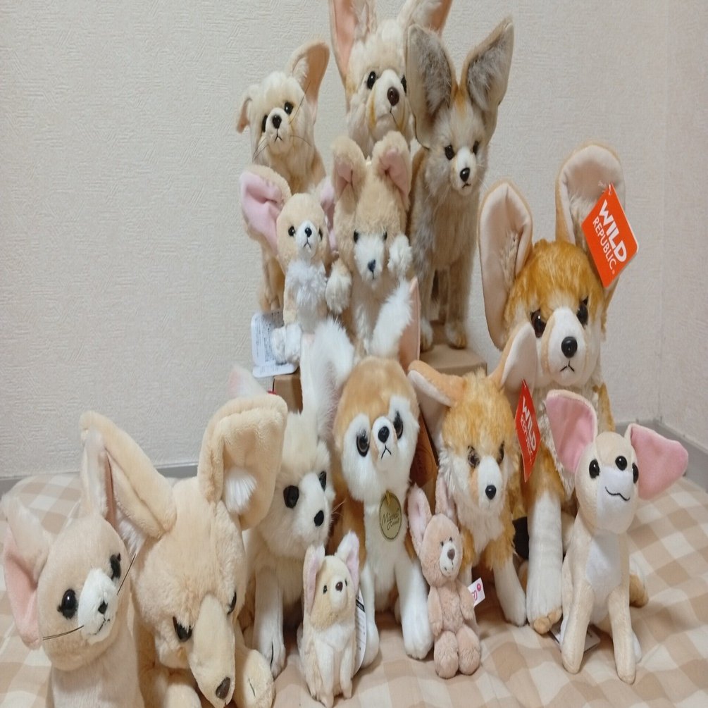 フェネックのぬいぐるみ全部買った｜hidesugar