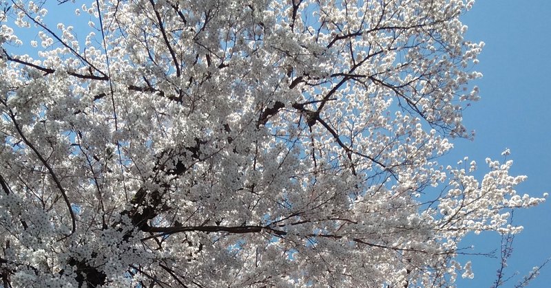 何年経っても英語習得をあきらめられない話 Kazumi Note