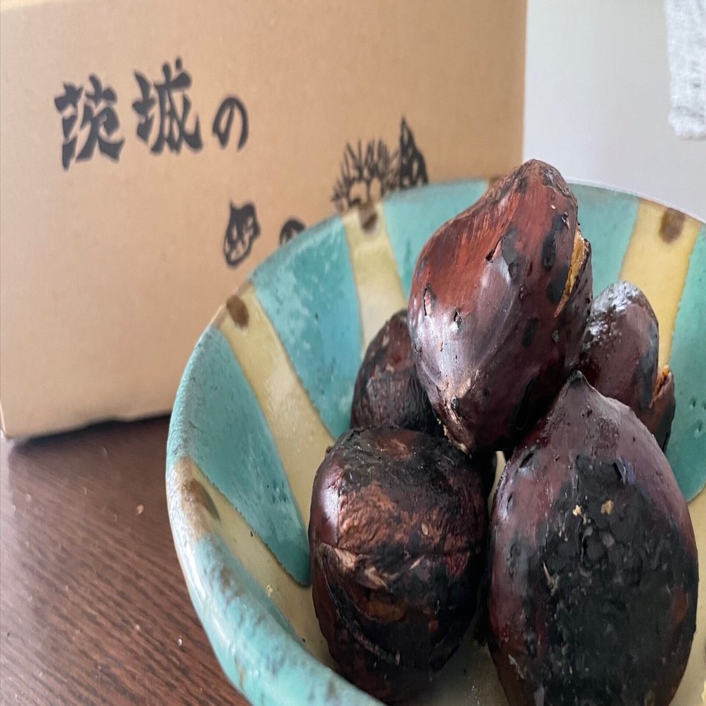 茨城県 小澤栗園｜ピューちゃん