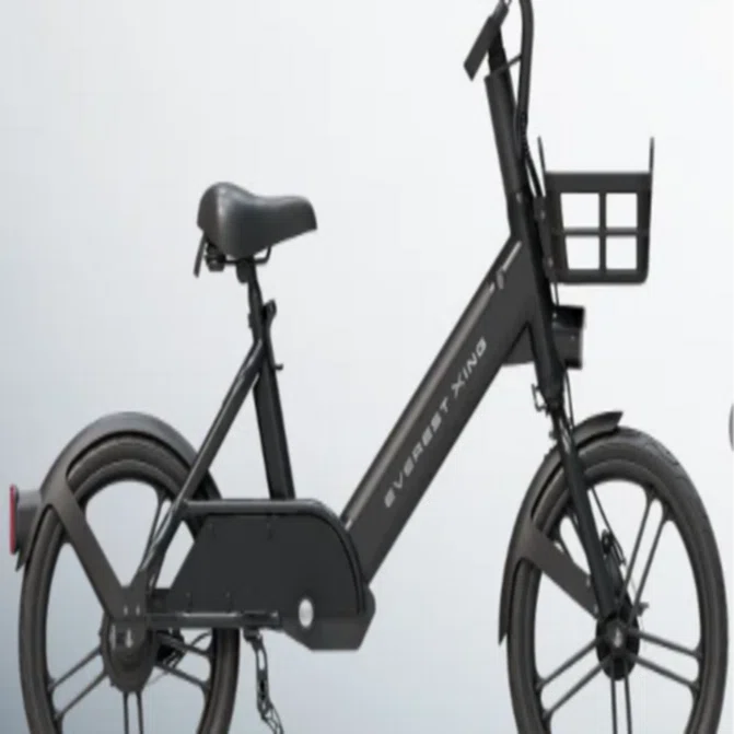 モペット　電動自転車 電動キックボード/モペット(モペッド)】everest xing cityを買いました