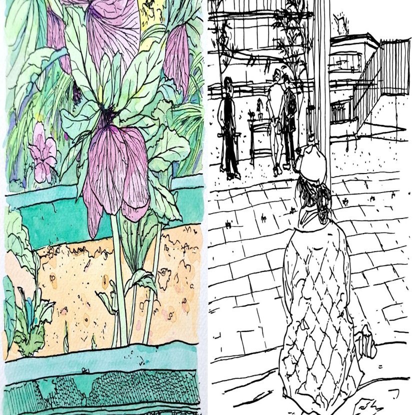 私のスケッチポイント／作品紹介あれこれ＞世田谷区・馬事公苑の