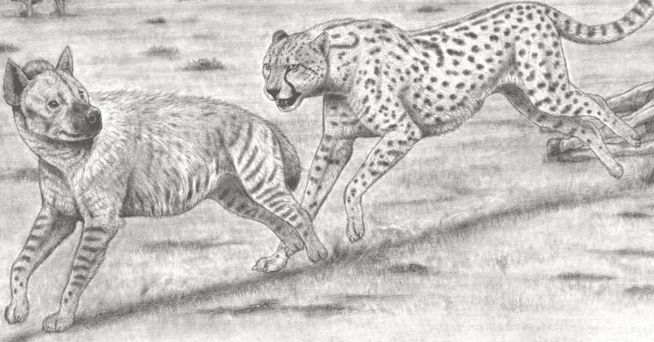 美獣〉 チーターの史上最大種 ➡『コロッサル・チーター