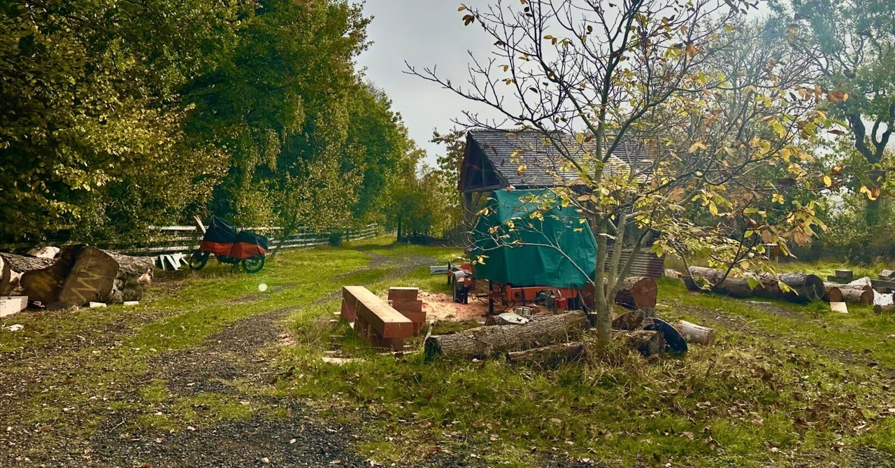 I started working at a farm across the hill. Notes from my study abroad ...