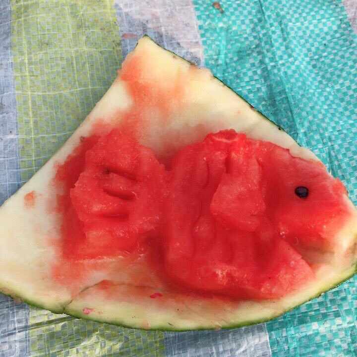 スイカフィッシュ