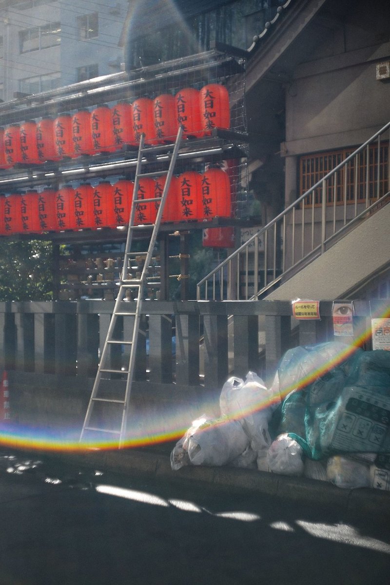 365日ライカ 022 オールドレンズで撮ったデジタル写真に感じる フィルム性 365leica Note