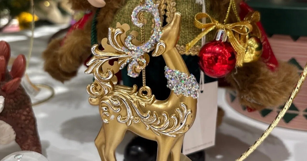 7 Winter Goods Found at Ginza Loft: Things I Didn't Know! Reasons