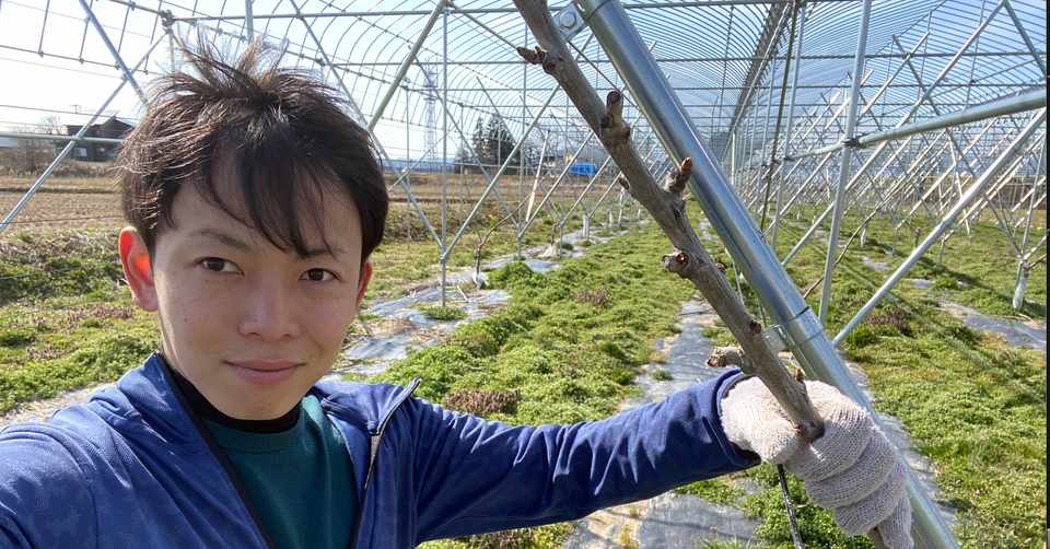 水耕栽培とサクランボ農家の状態 3ヶ月目 ノブ 心理学 Note