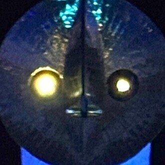 珍獣ハンターnull