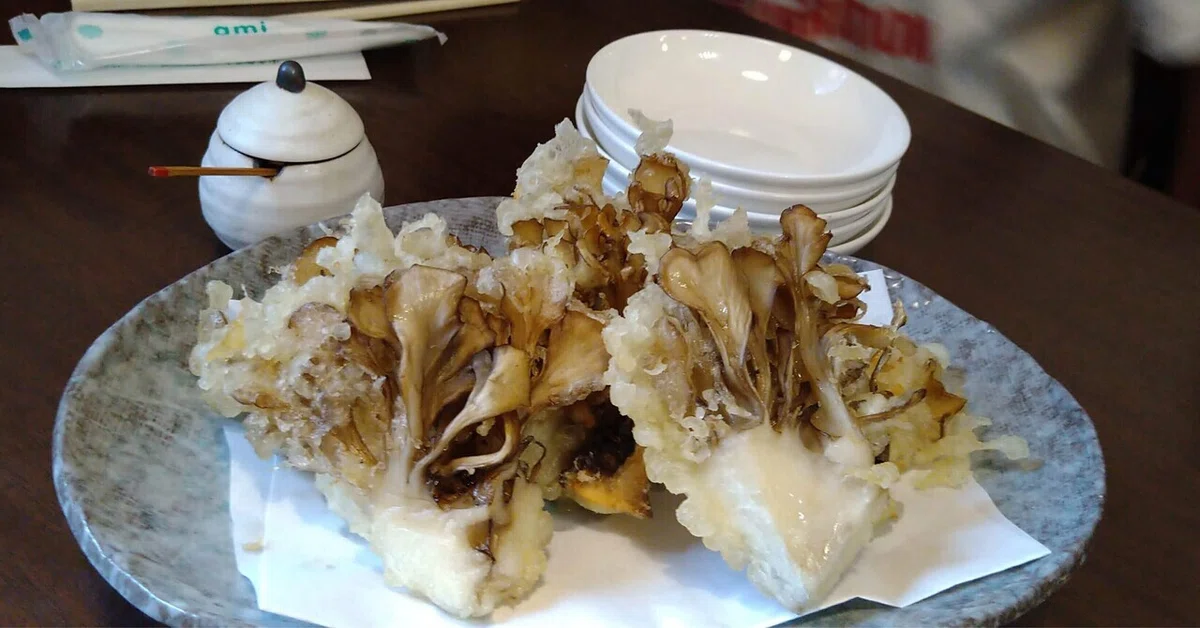 [Poem] Maitake｜おがけん・Ogaken｜教育詩人🇯🇵