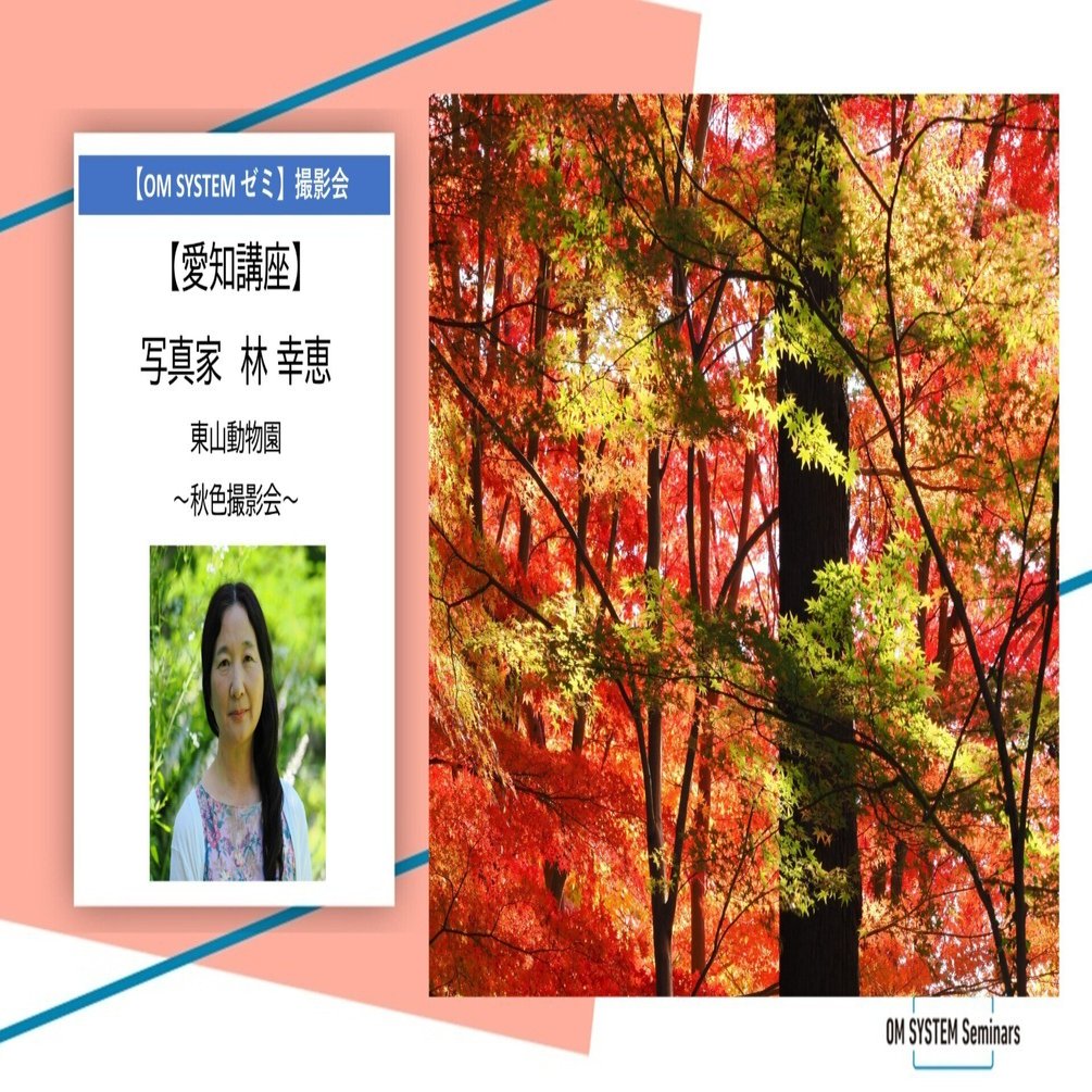 愛知】2025年11月30日(日)開催 写真家 林幸恵「秋色の東山動植物園撮影