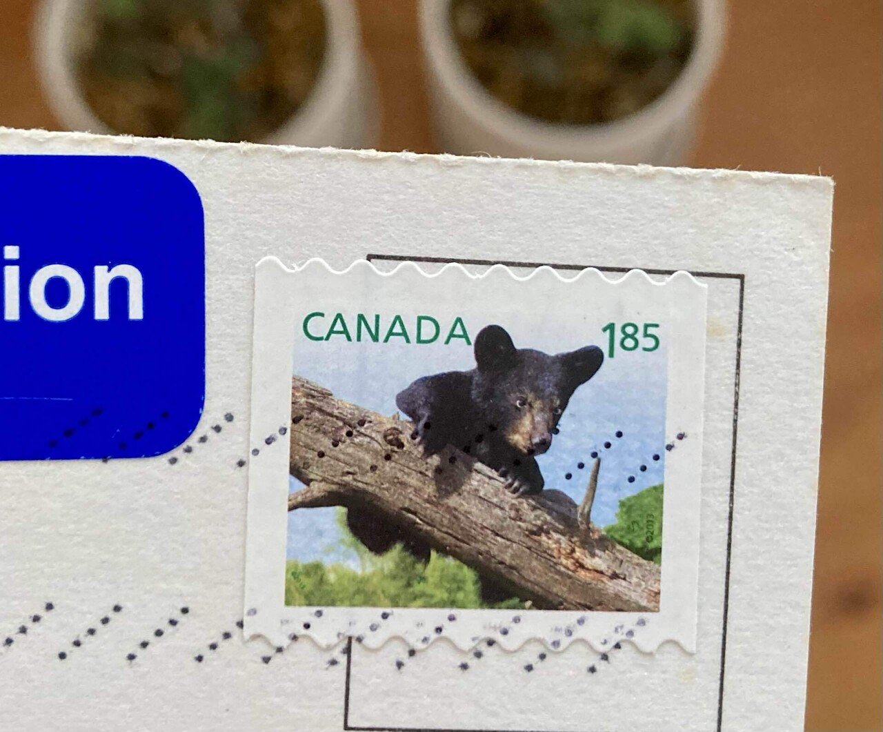 野生の熊は怖いけど… 郵便受けに届いた“くまさん”に癒されています