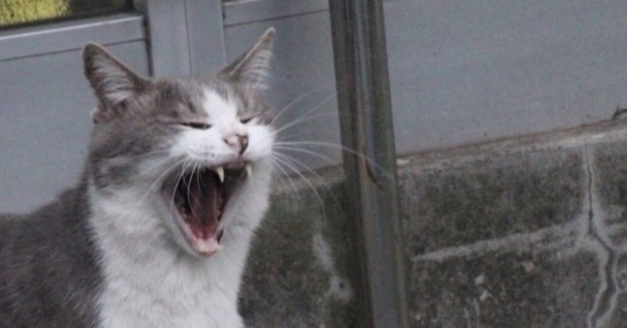 2020年4月第1週youtube関連ニュースまとめ Uuumを追撃するユーチューバー事務所が攻勢 ラジオ 065 カグア セカンド Note