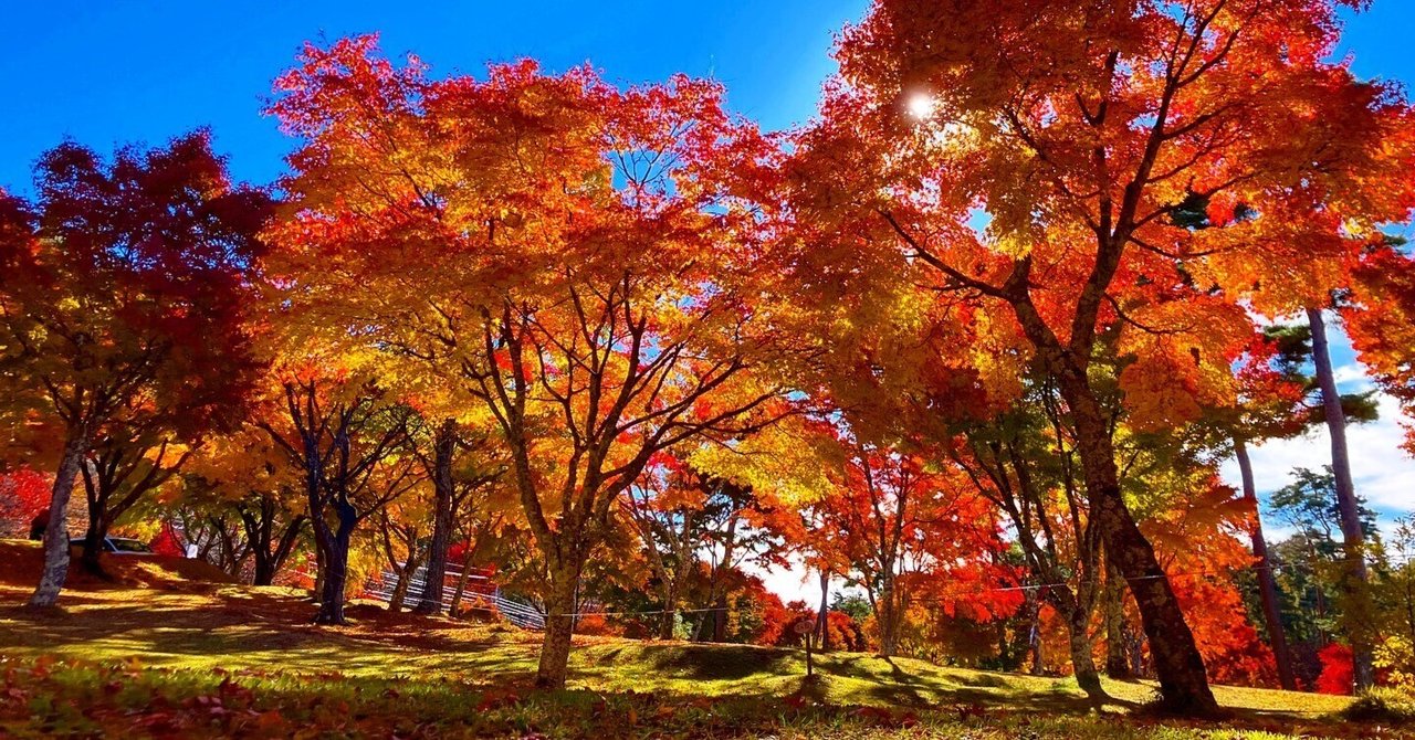 当社がある標高1000m高原の町は、今、キラキラいっぱい｜ビーチュー