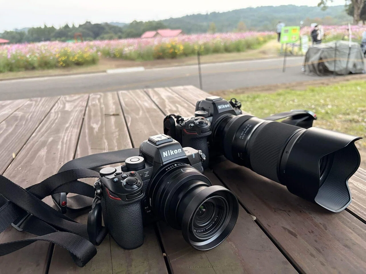 Nikon Z5II と Z50IIで思い切り遊ぶ｜夢玉