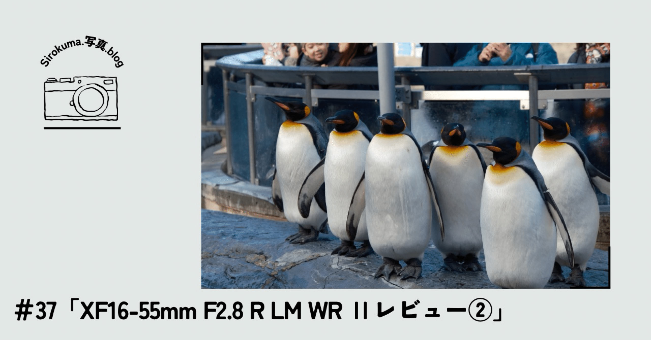 37「XF16-55mm F2.8 R LM WR Ⅱ レビュー②」｜sirokuma/photo