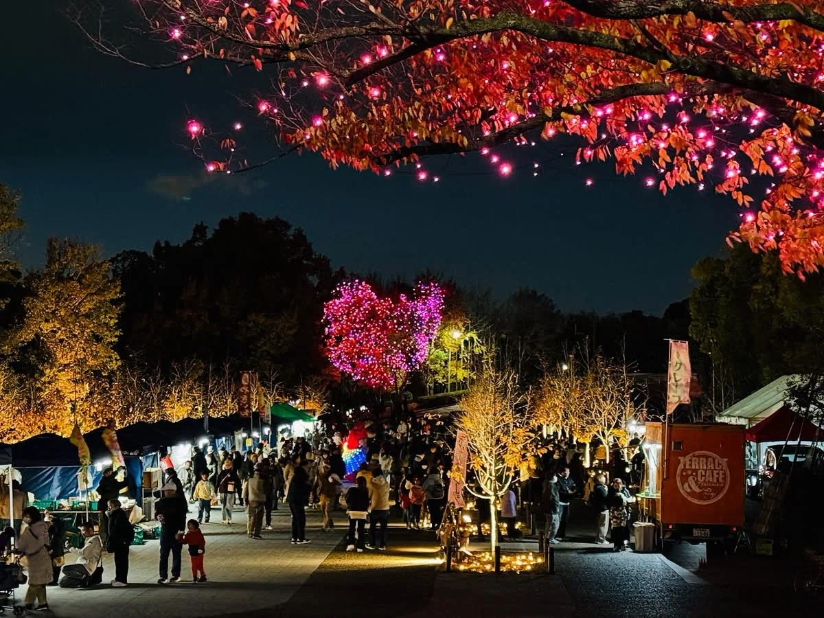 公園のイルミネーションとJAZZ｜光のデザインと企画 橋田正和