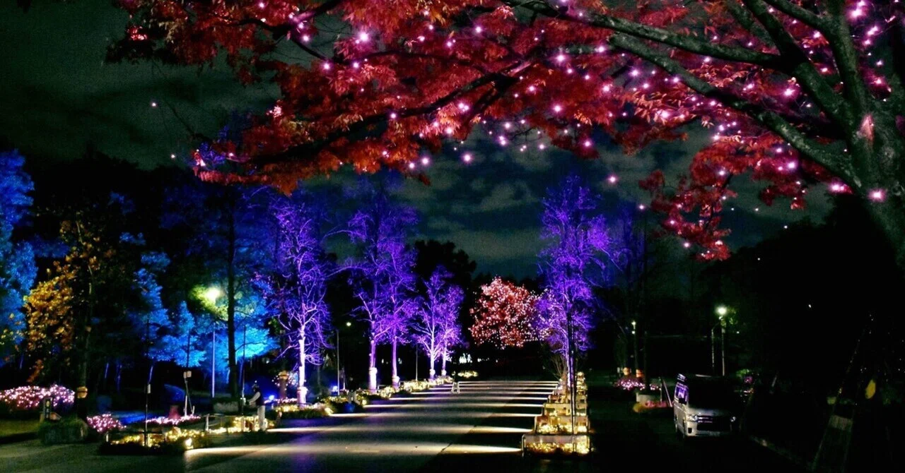 公園のイルミネーションとJAZZ｜光のデザインと企画 橋田正和