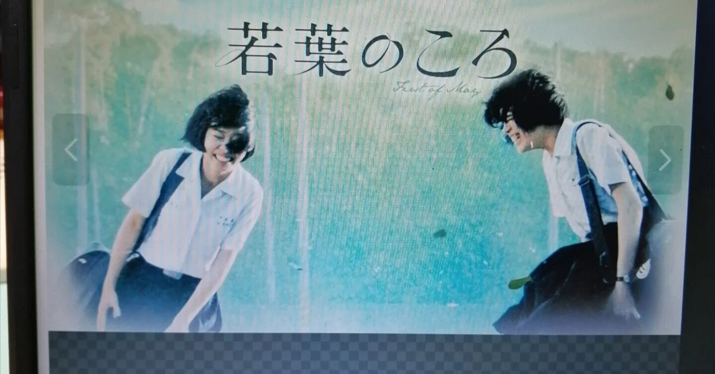 台湾映画「若葉のころ」（2016年日本公開感想など）｜石野夏実