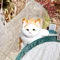 日常の思い立ったが吉日～♪