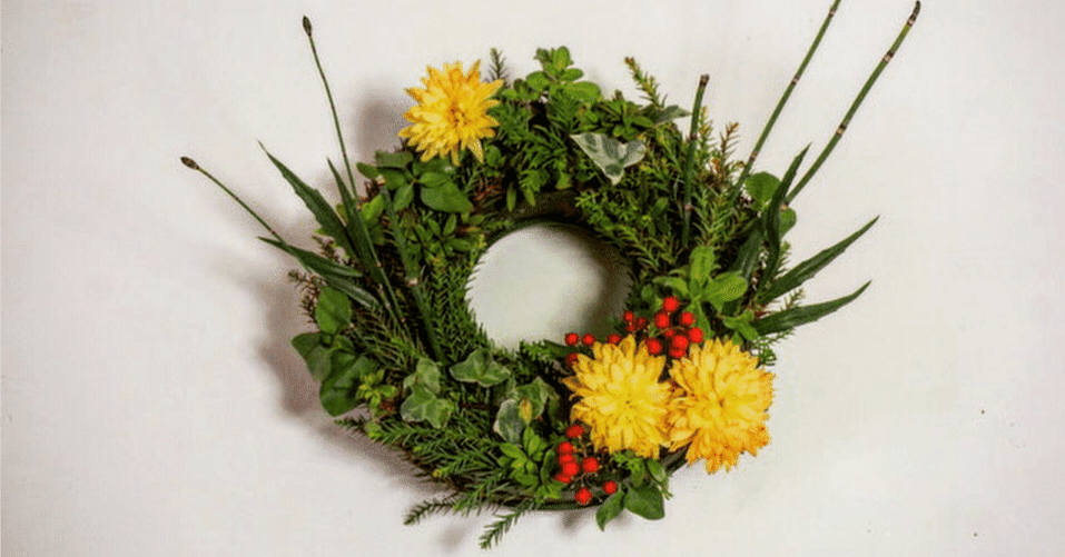 A-Z園芸植物百科事典｜弟切千隼